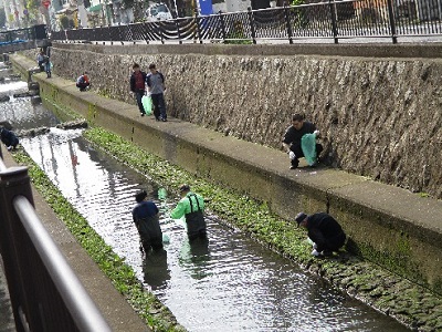 天籟寺川の清掃活動
