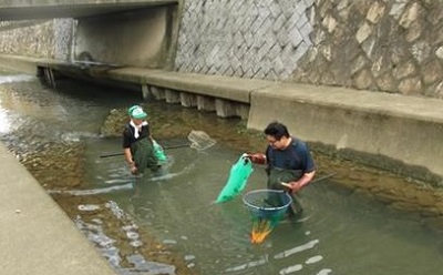 川の中に入って作業する飛翔館利用者さん