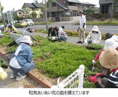 和気あいあい花の苗を植えています